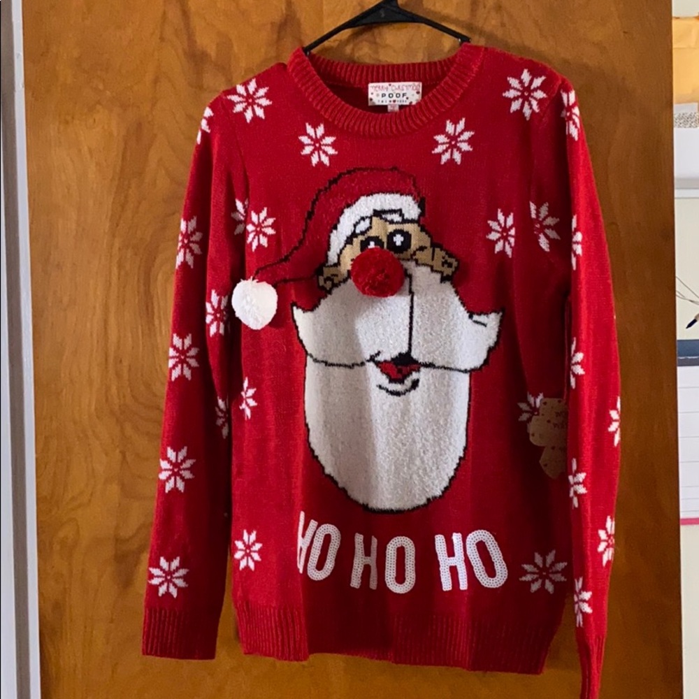 Pom Pom Santa sweater